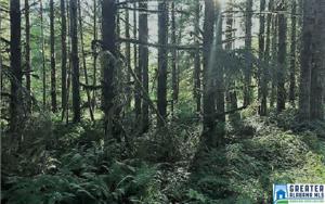 Lot 6 LAKESHORE DR