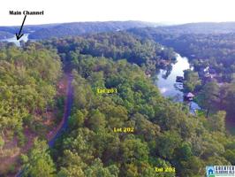 202 BIG Y COVE LOOP