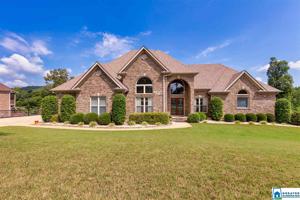 119 DEER RIDGE DR