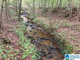 401 COUNTY ROAD 223