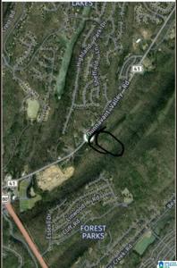 Parcel 1 DUNNAVANT VALLEY ROAD