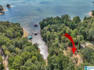 Lot 22 COUNTY ROAD 875