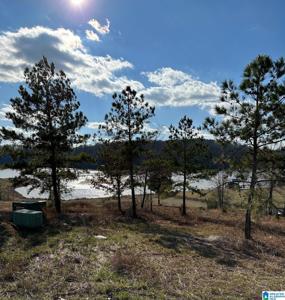 Lot 308 LAKE POINTE DRIVE