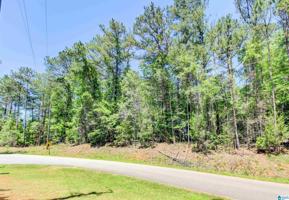 Lot 7A COUNTY ROAD 804