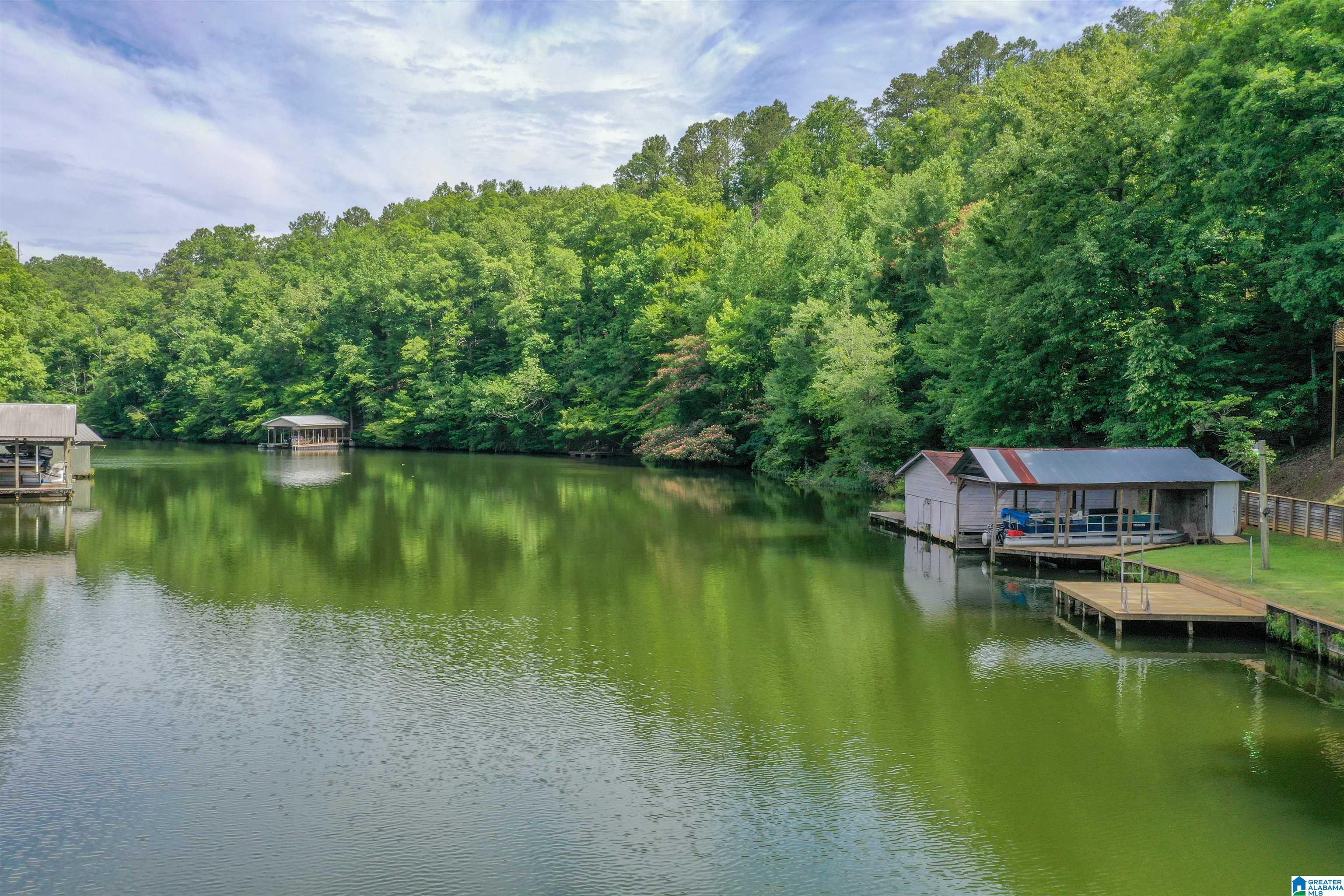 296 COUNTY ROAD 186, CLANTON, AL lhrmls02222411