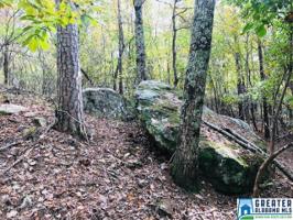 Lot 34+/- Acres ENCLAVE DR