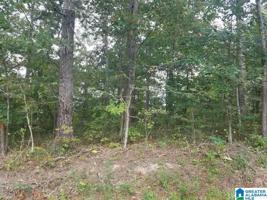 lot #16 & 7 HOLLIDAY DRIVE