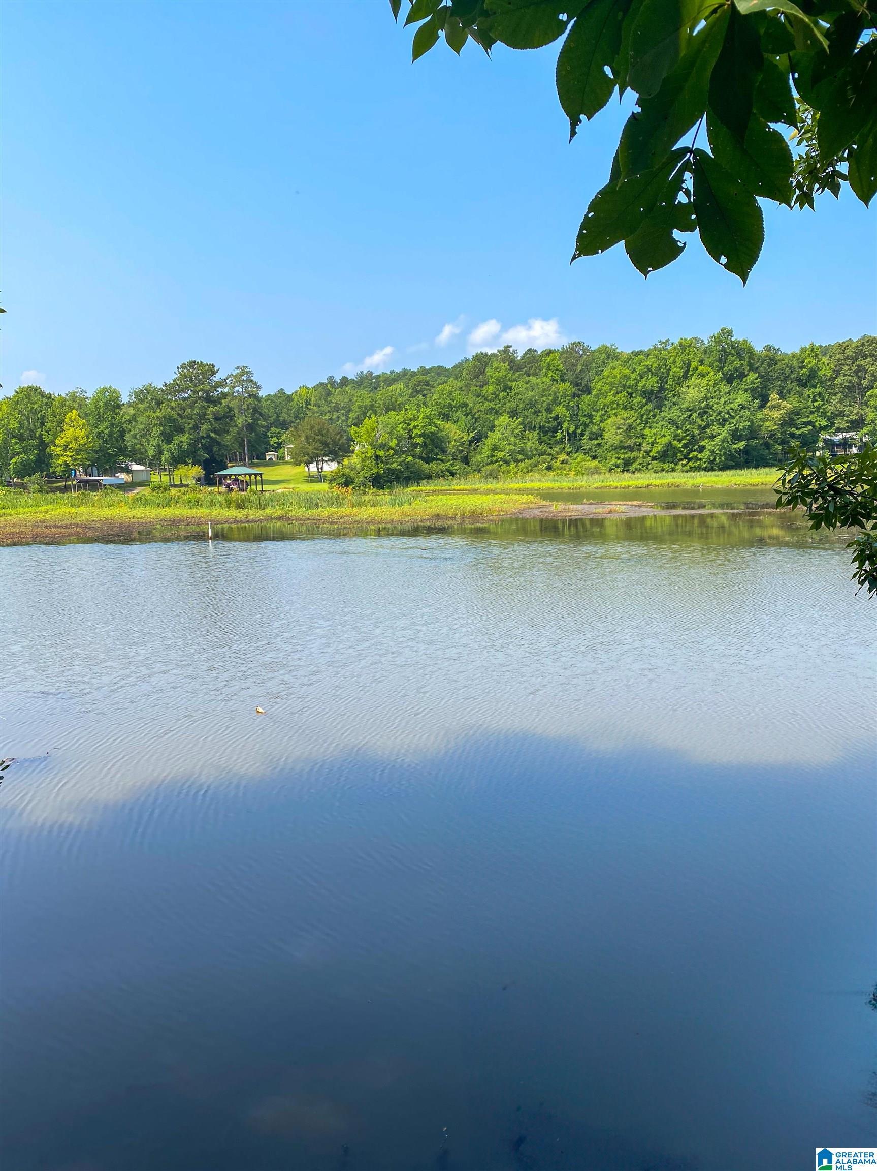 Lot 14 KELLEY LANE, SYLACAUGA, AL lhrmls01820289