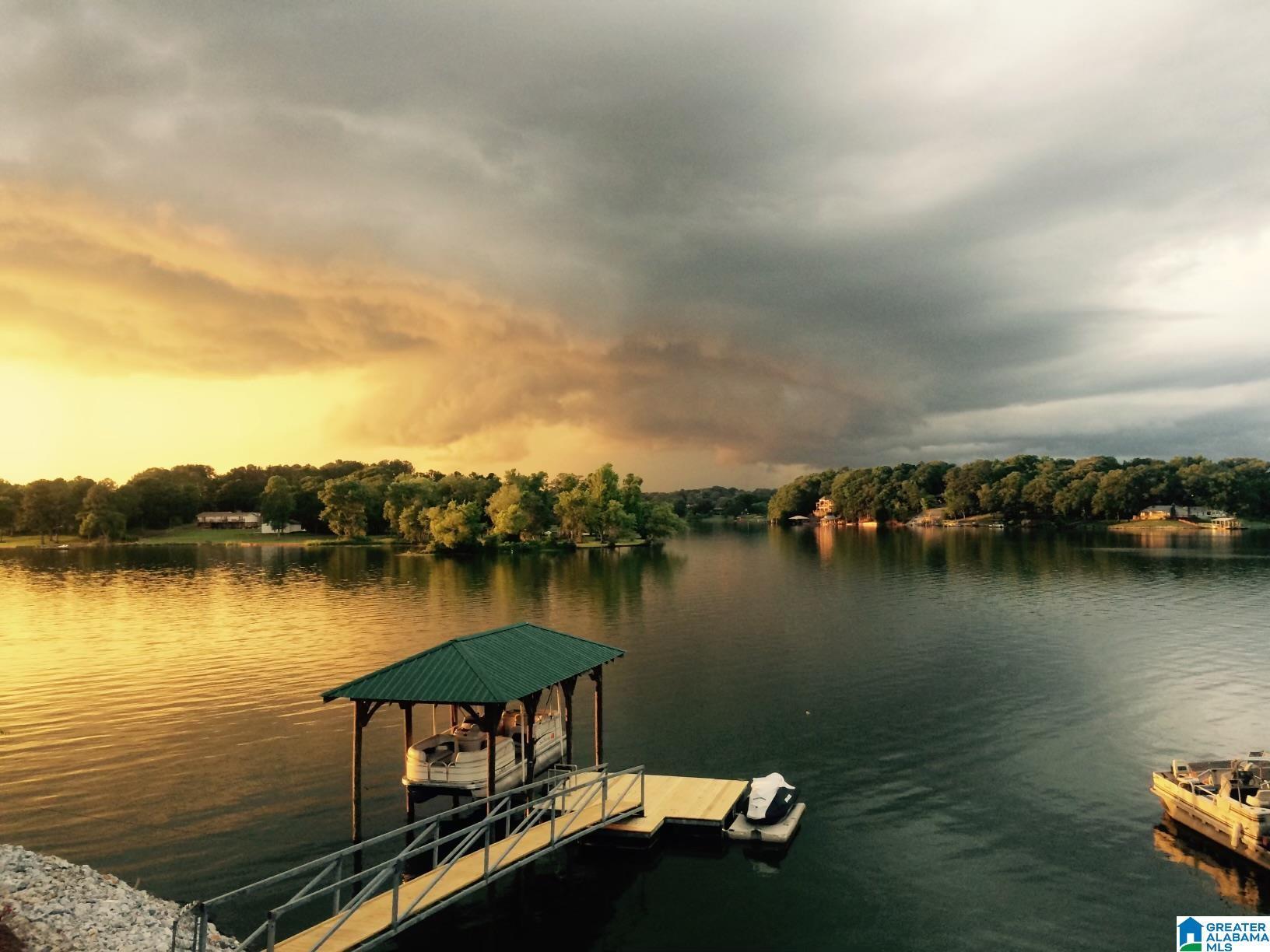 724 SHANNON LYNN SHORES LANE, TALLADEGA, AL lhrmls01832316