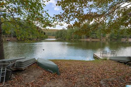 113 DEER RIDGE DRIVE