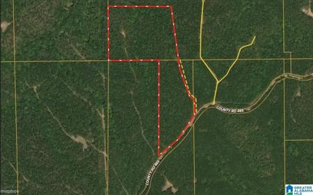 0 COUNTY ROAD 465