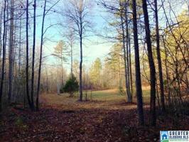 Lot 61 Acres MCCOLLUM RD