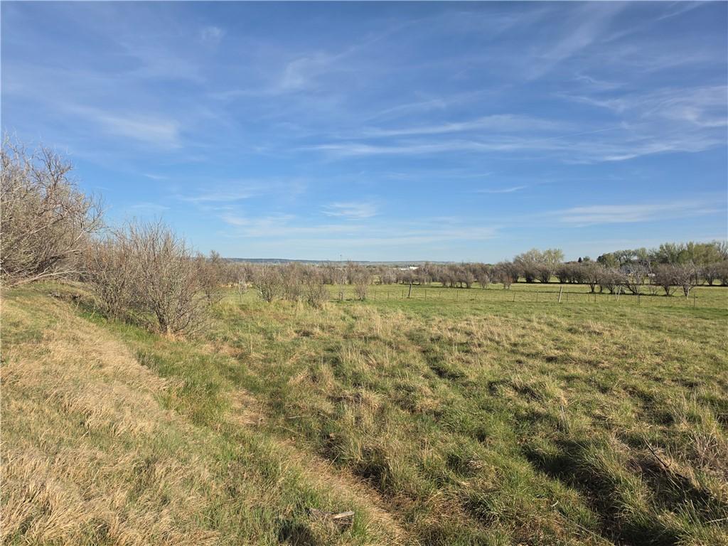 Image 1: Lots of great pasture due to wetness of this land