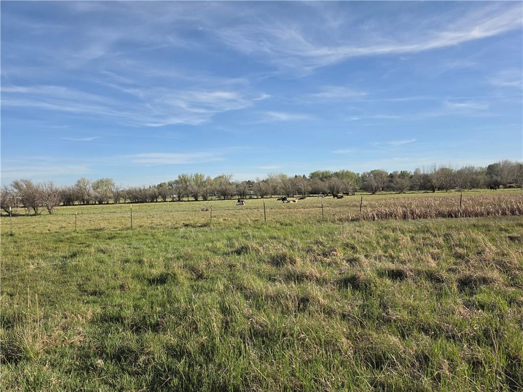 Image 2: Grass abounds and is begging to be enjoyed by your