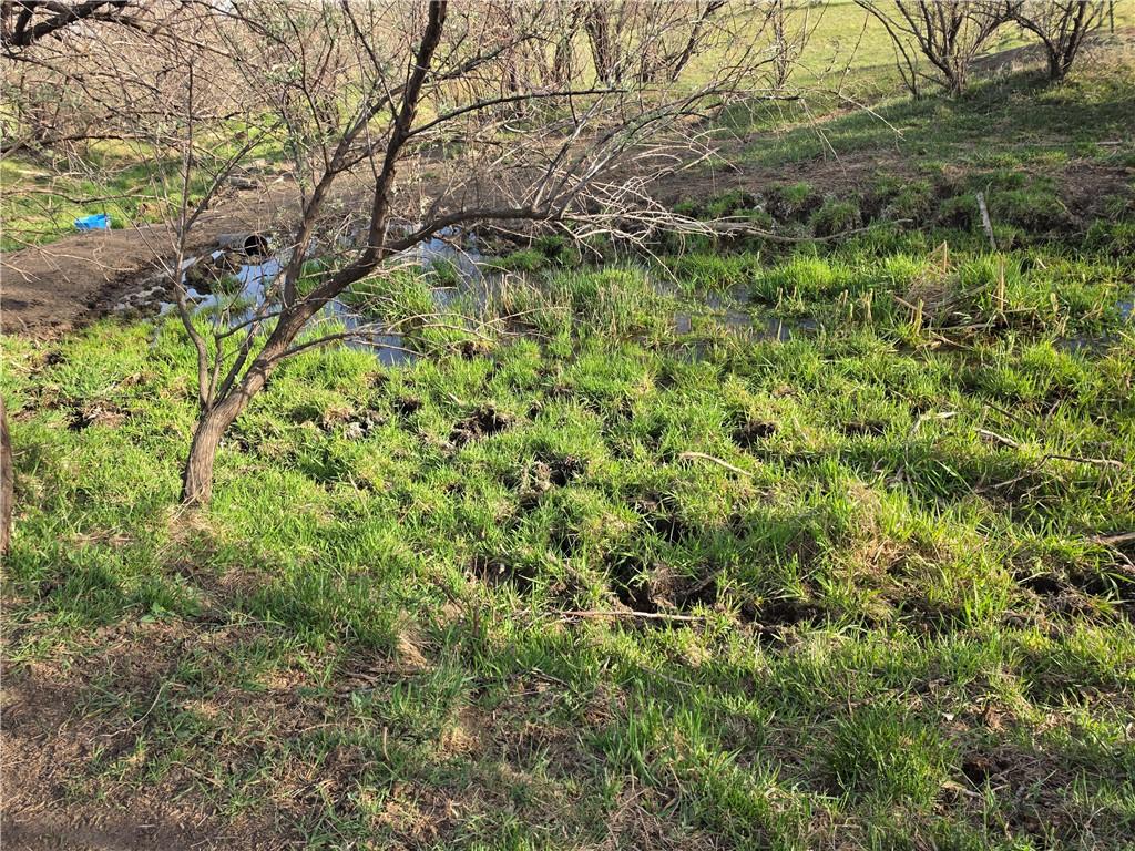 Image 3: Marshy and lots of moisture as creek is on it