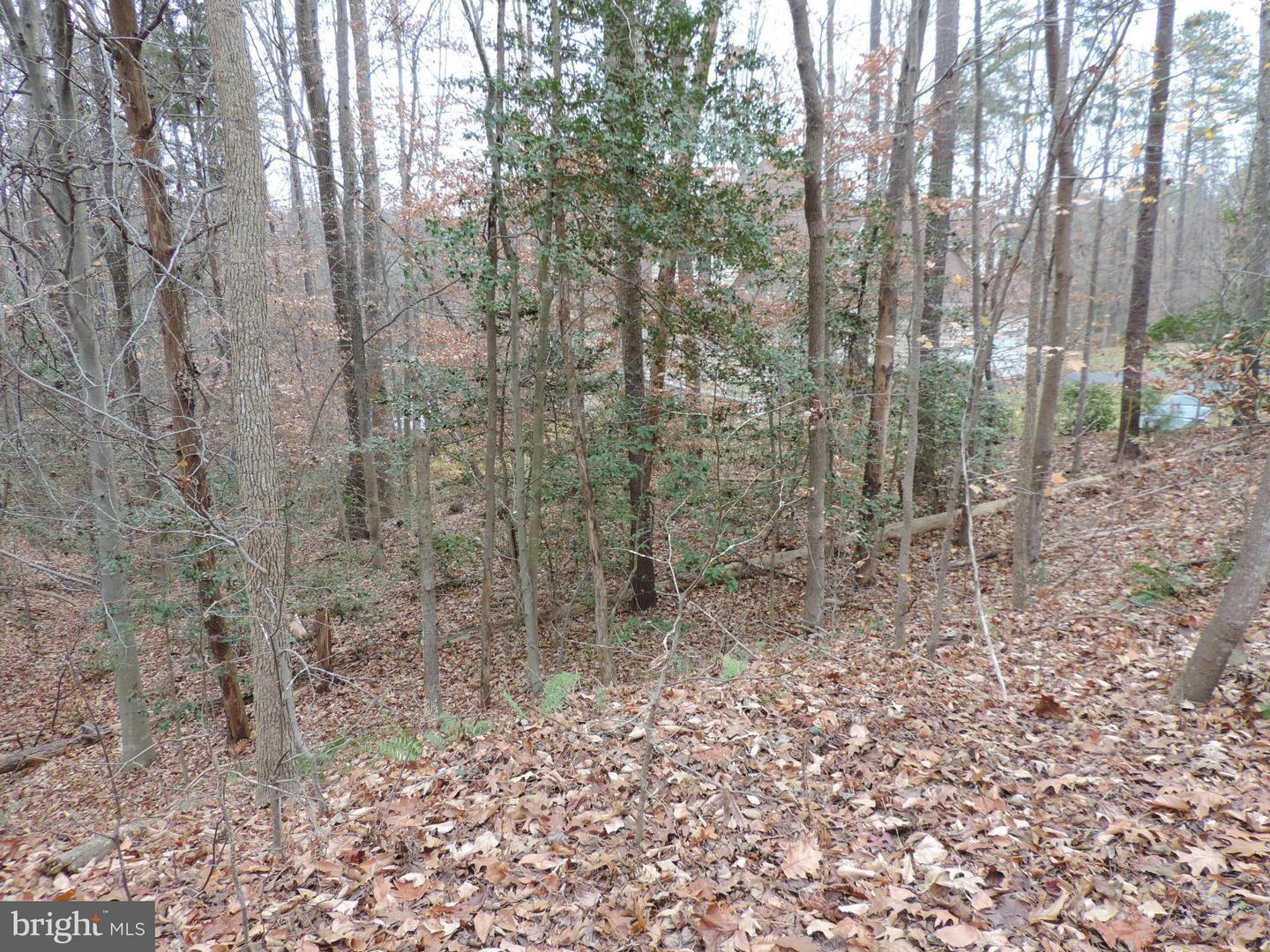 EISENHOWER DRIVE, KING VA lhrmls00174113