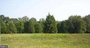 LOT 63 TARA WOODS DRIVE