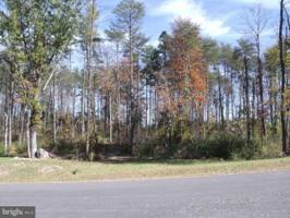 WOODLAND SHORES DRIVE