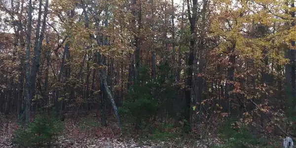 3333 VIOLA WAY