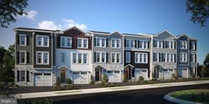 114 PHACELIA WAY