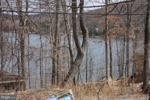 SHINGLE CAMP TERRACE