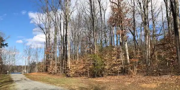 LIGHTHOUSE POINT ROAD