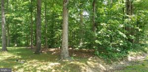 106 MEADOWVIEW LANE