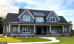 20 FIR COURT