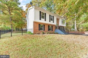 11687 BIG BEAR LANE