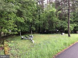 .37 ACRE LOT WHITE OAK