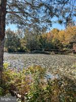 LOT 25 SECLUSION SHORES