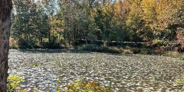 LOT 25 SECLUSION SHORES