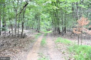52+ Acres Off HUDSON HOLLOW ROAD