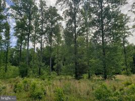 Lot 166 RAINBOW RIDGE