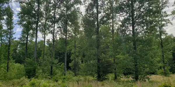 Lot 166 RAINBOW RIDGE