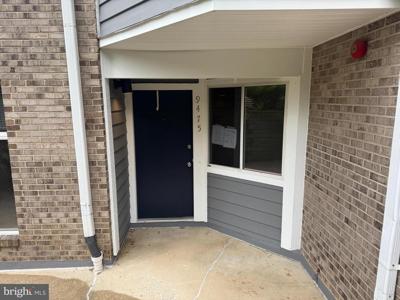 9475 HICKORY LIMB