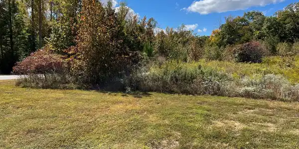 RAINBOW RIDGE