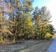 SPRUCE DR