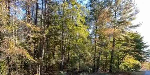 SPRUCE DR