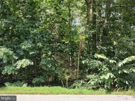 29 HALLECK DRIVE