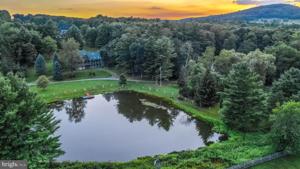 1229 BOY SCOUT ROAD