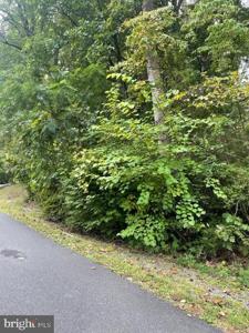 LOT 389 N LAKESHORE DR.
