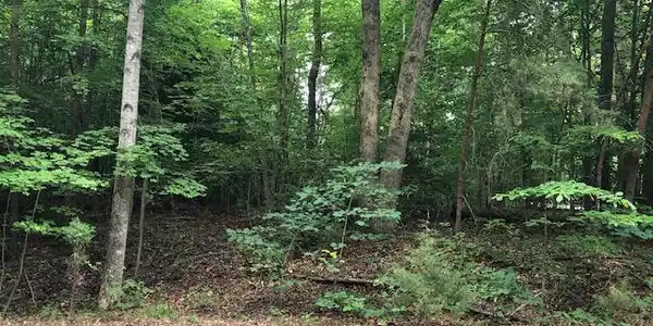 5403 RYE HILL TRAIL