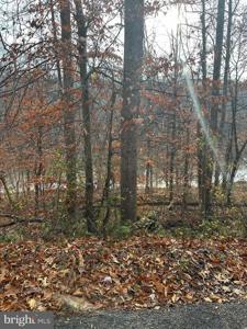 6721 BALMORAL OVERLOOK COURT