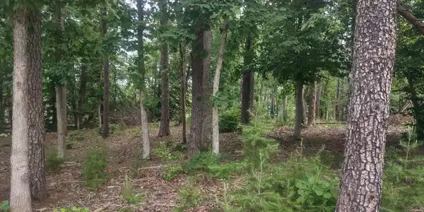 LOT 74 SUNSET LOOP