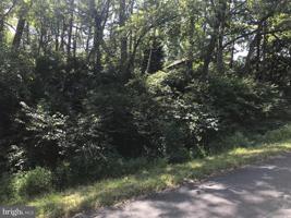 1244 BUCK DRIVE