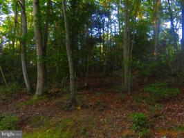 746 DEEP FORD DRIVE