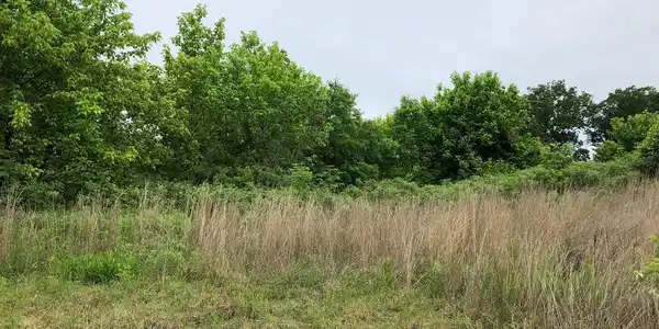 6321 CHICKAHOMINY COURT