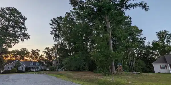 COVE LANE
