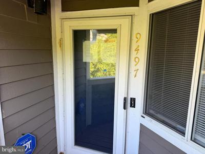 9497 HICKORY LIMB